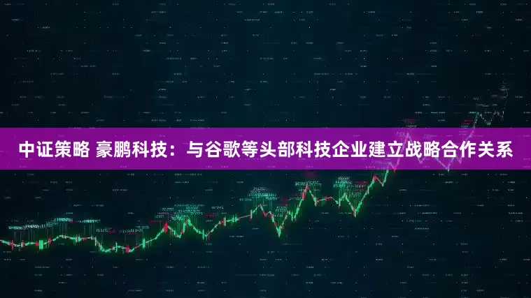 中证策略 豪鹏科技：与谷歌等头部科技企业建立战略合作关系