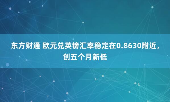 东方财通 欧元兑英镑汇率稳定在0.8630附近，创五个月新低